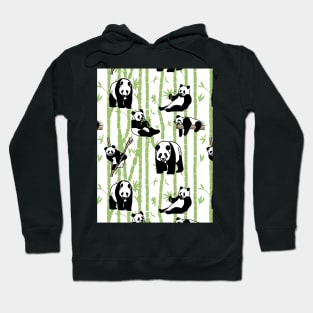 Giant Pandas in the bamboo forest on white background Hoodie